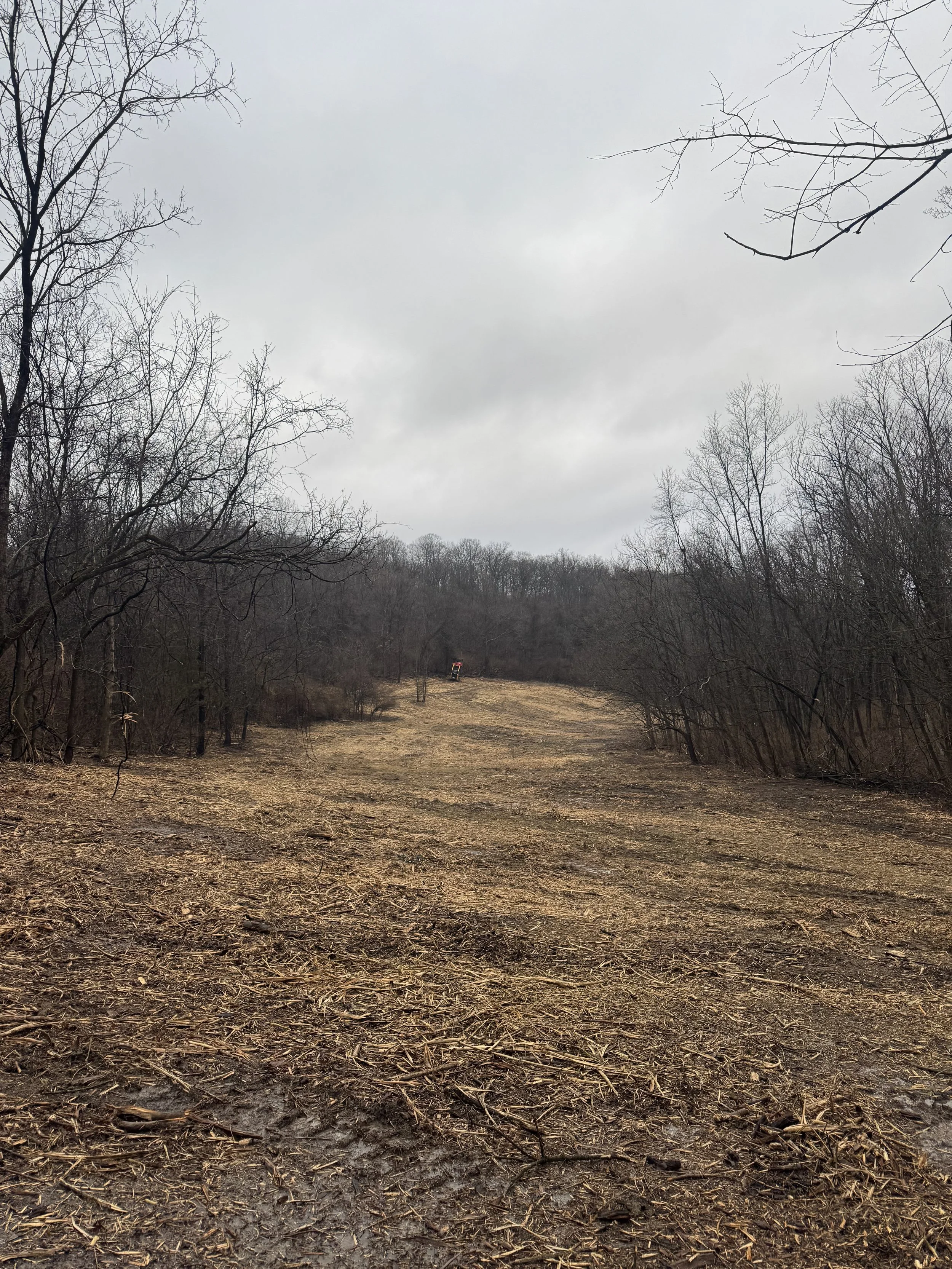 Land Clearing after shot
