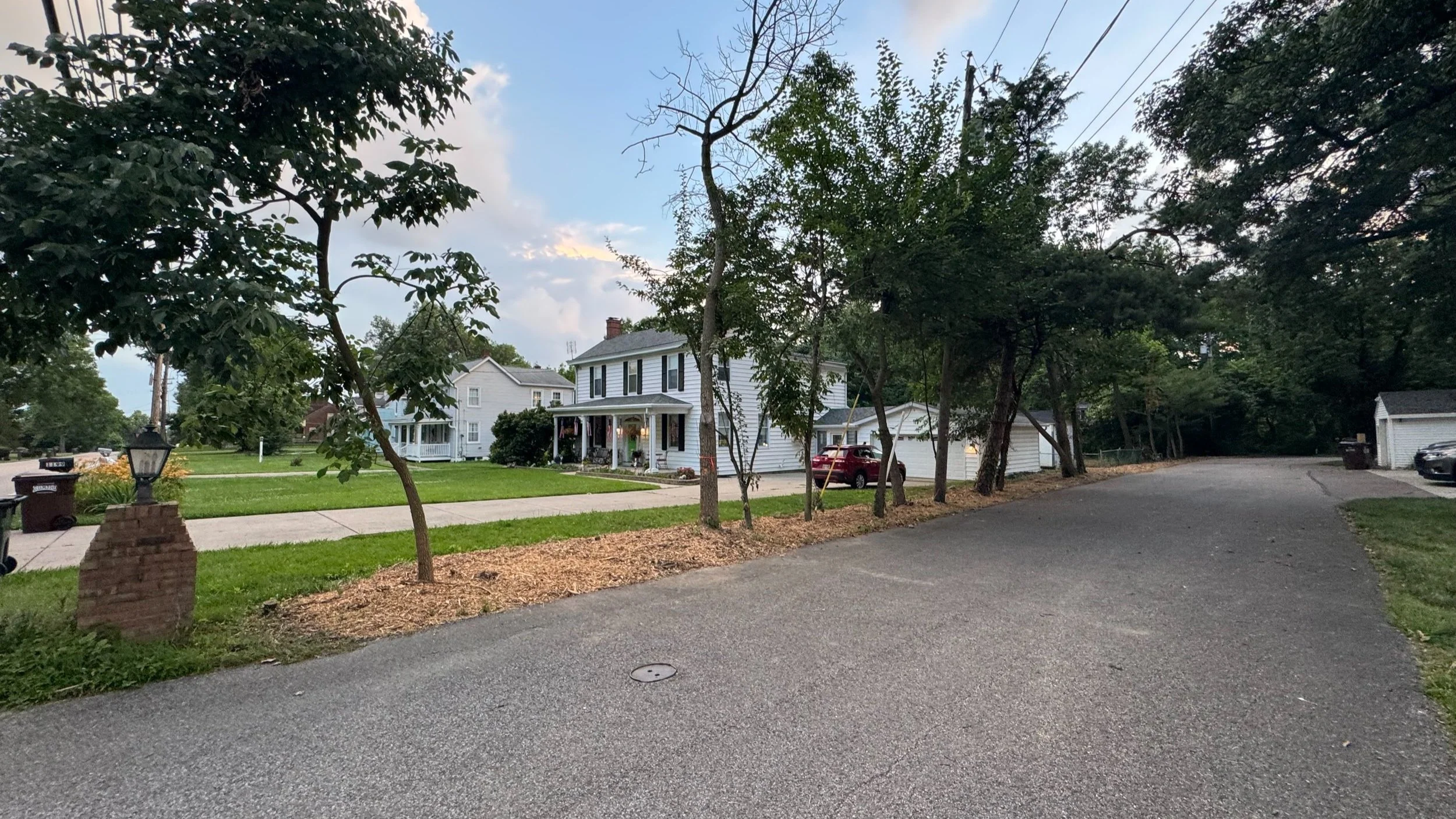 a cleared honeysuckle fence line in Hamilton county