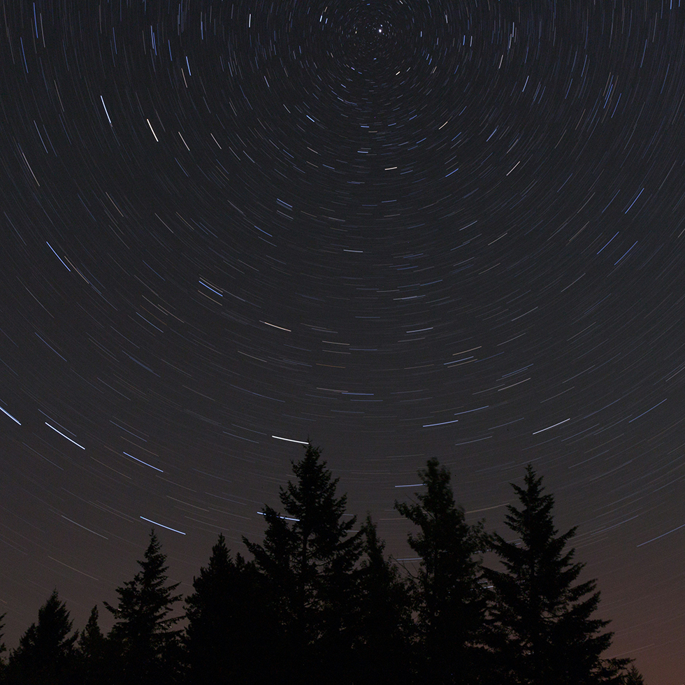 Long exposure photo of star trails in the night sky above a silhouette of trees.