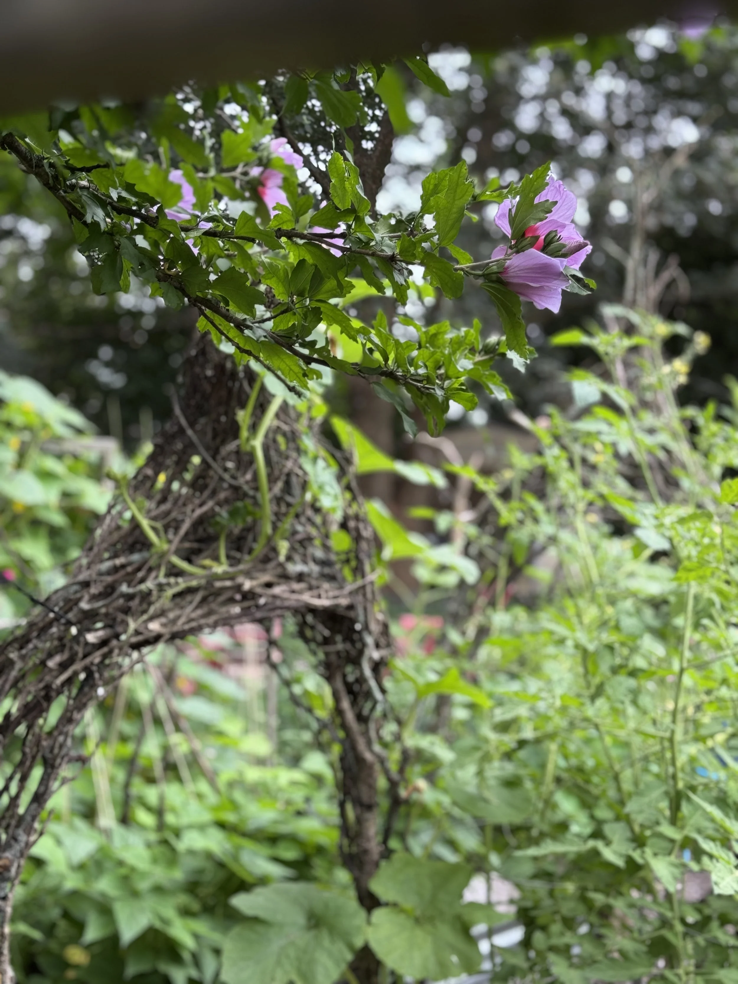 IMG_8066.jpeg