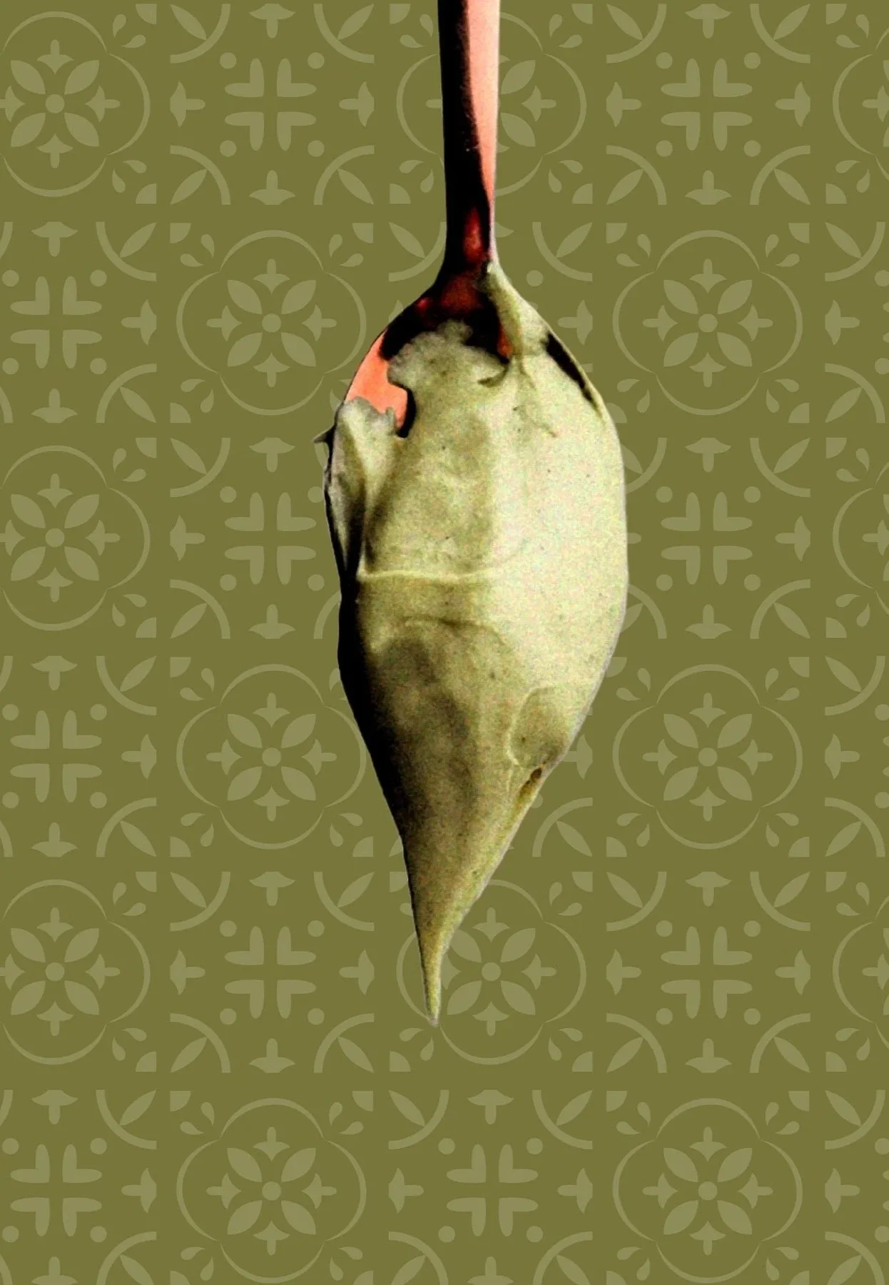 Dettaglio visivo di pistacchio e texture food, direzione artistica per branding alimentare.