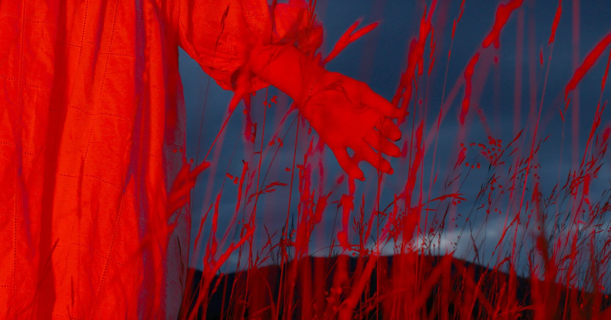 Still 2026-03-18 172746_1.10.1.jpg