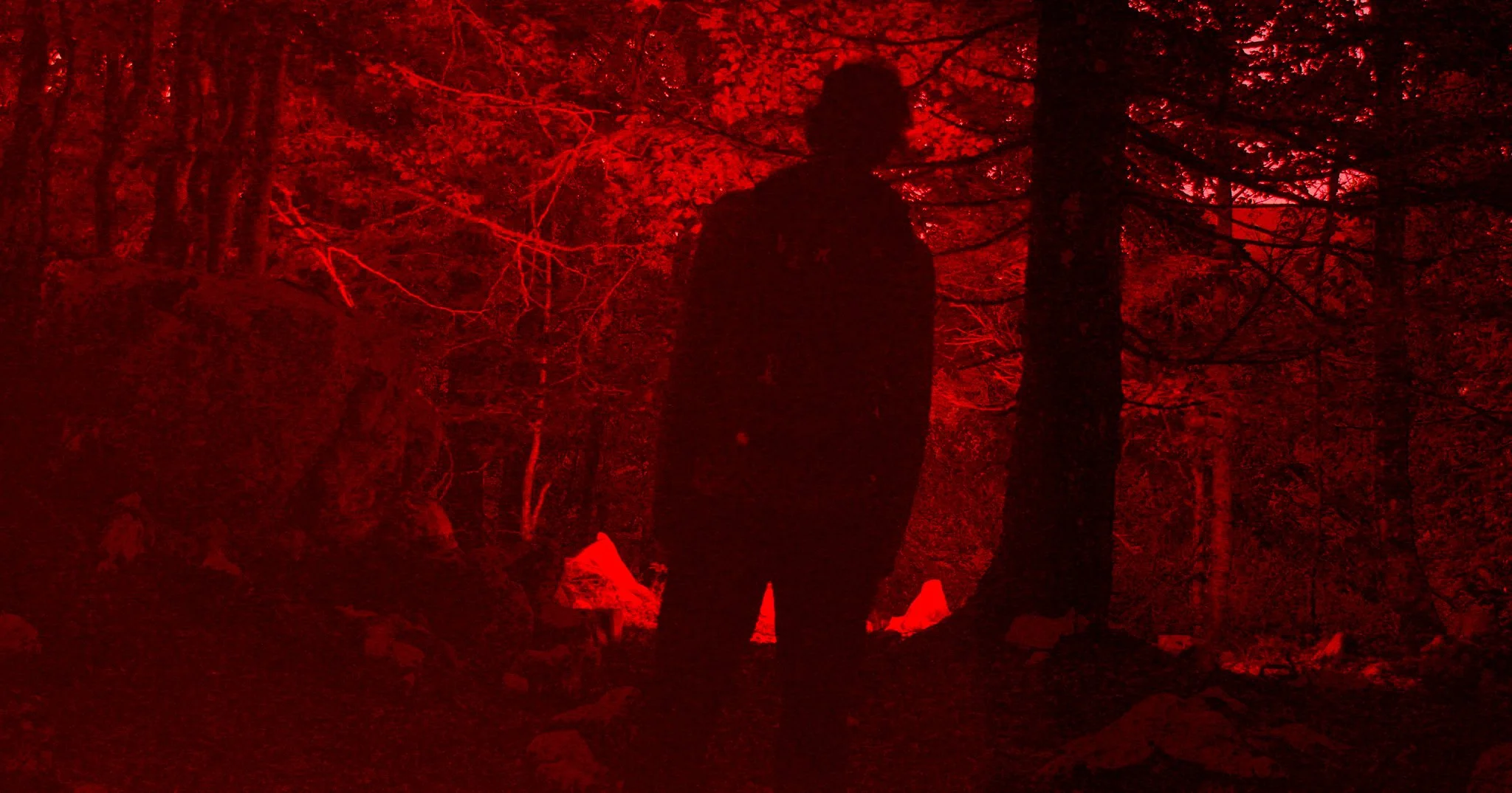 Still 2026-03-18 172746_1.67.2.jpg