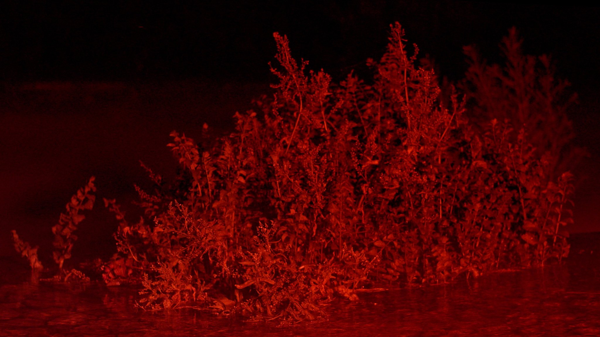 Still 2026-03-18 172746_1.3.1.jpg