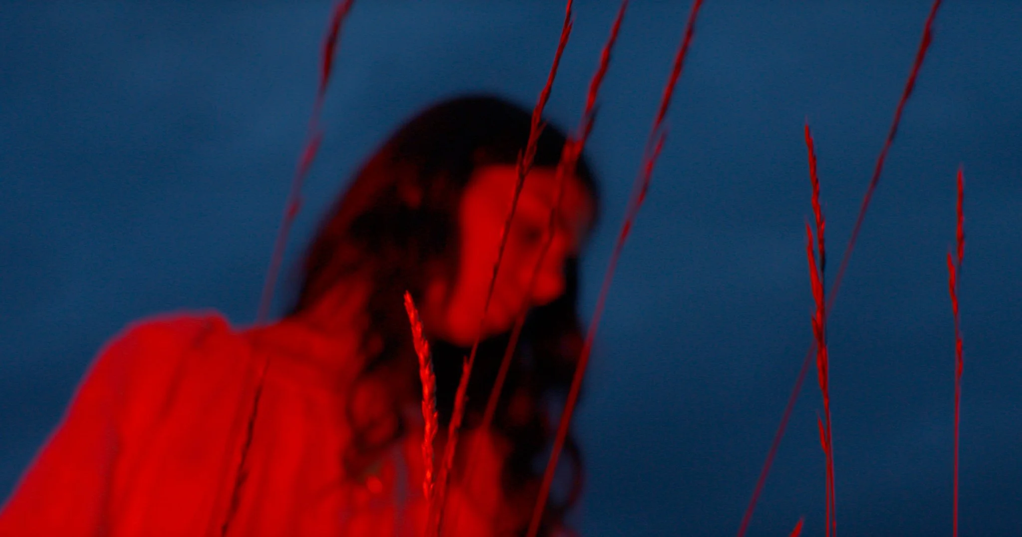 Still 2026-03-18 172746_1.11.1.jpg