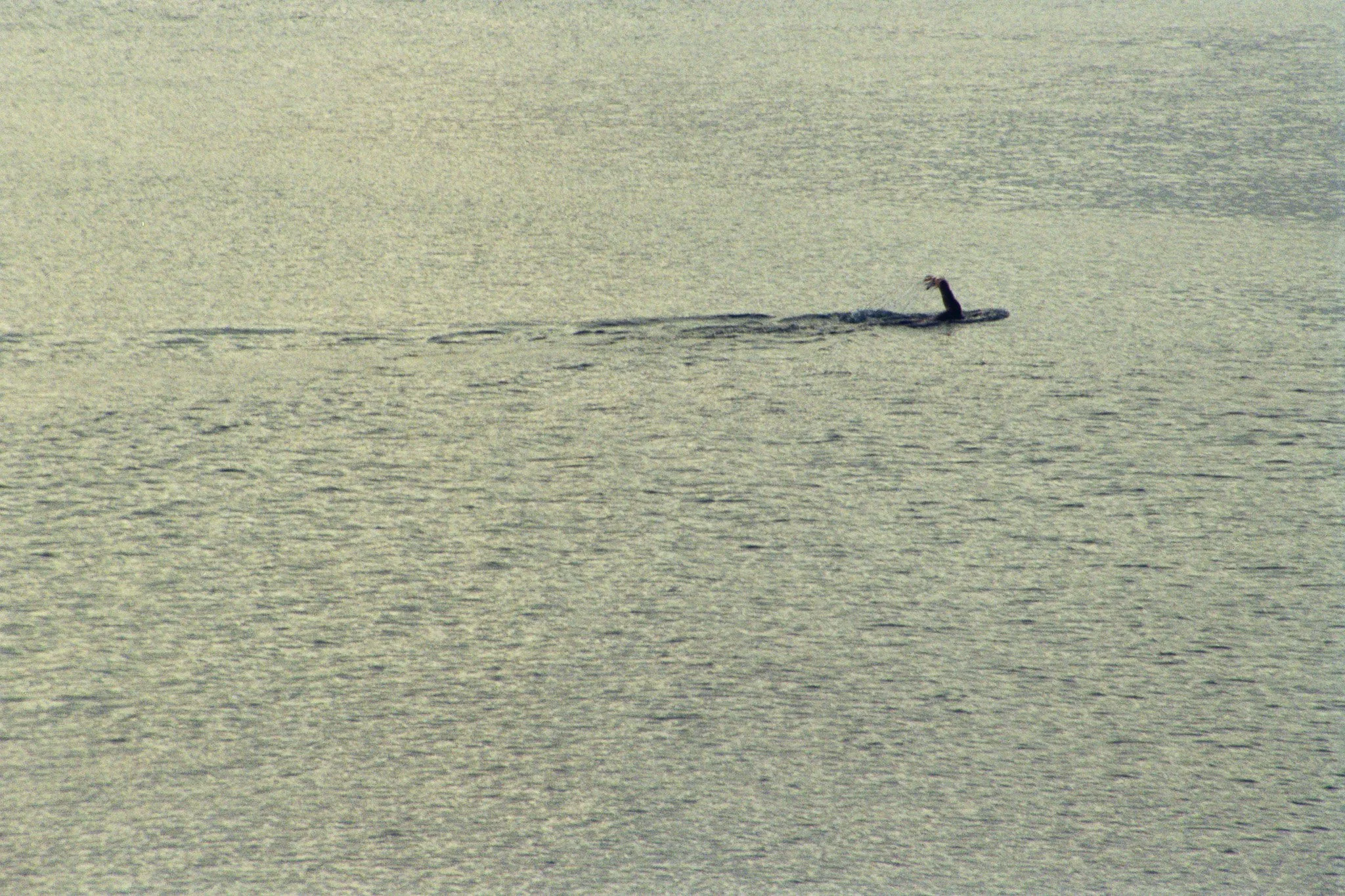 _25_00070.jpg