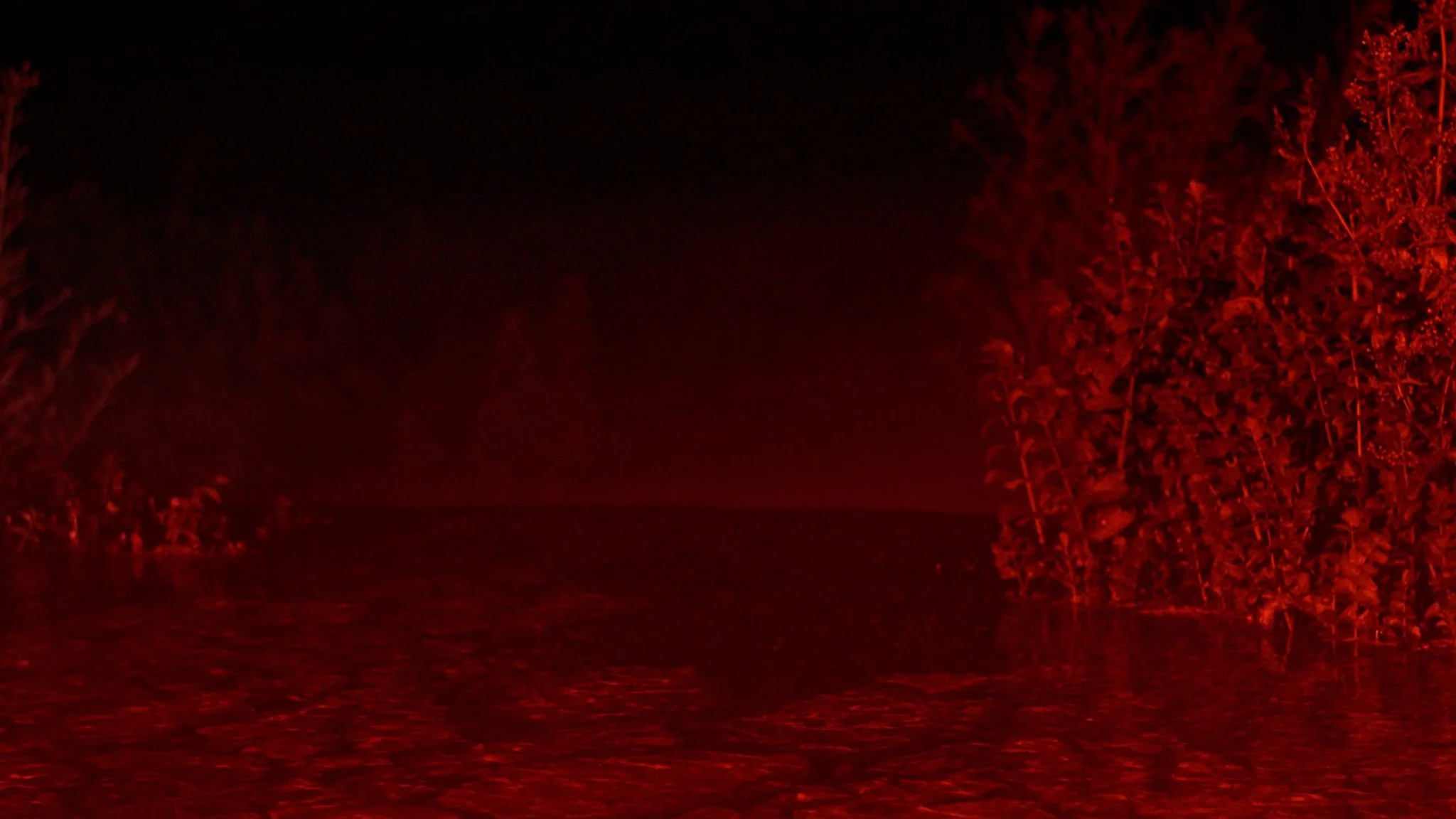 Still 2026-03-18 172746_1.2.1.jpg