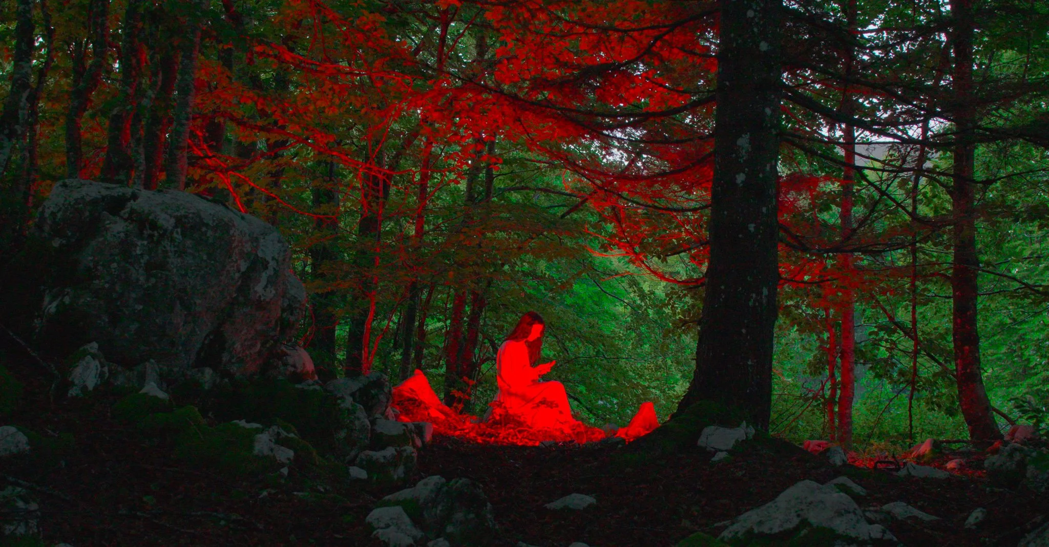 Still 2026-03-18 172746_1.63.1.jpg