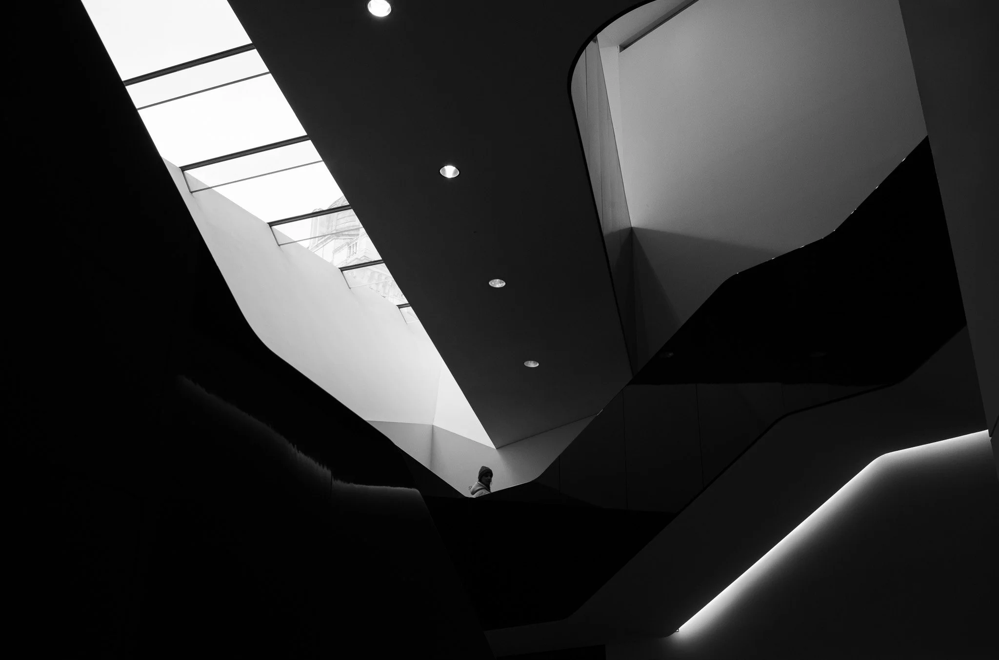 L1008149.jpg