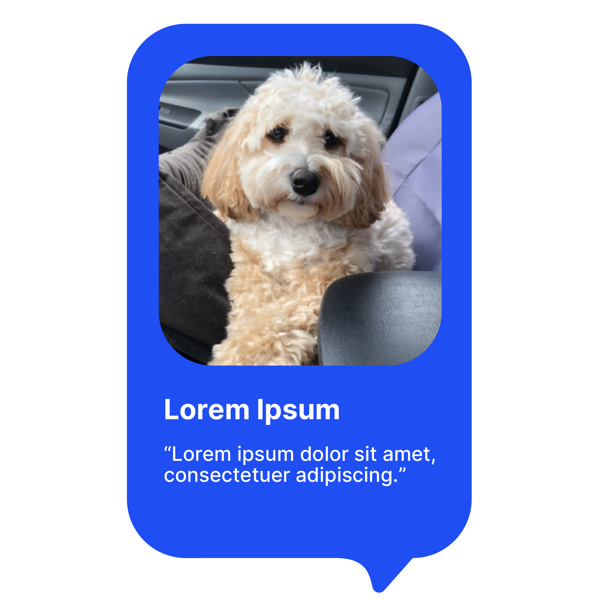 Tuna_Quote_Blue1.png