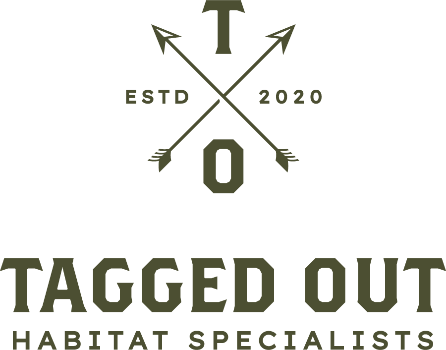 tagged-out-logo-full-color-rgb-900px-w-72ppi.png