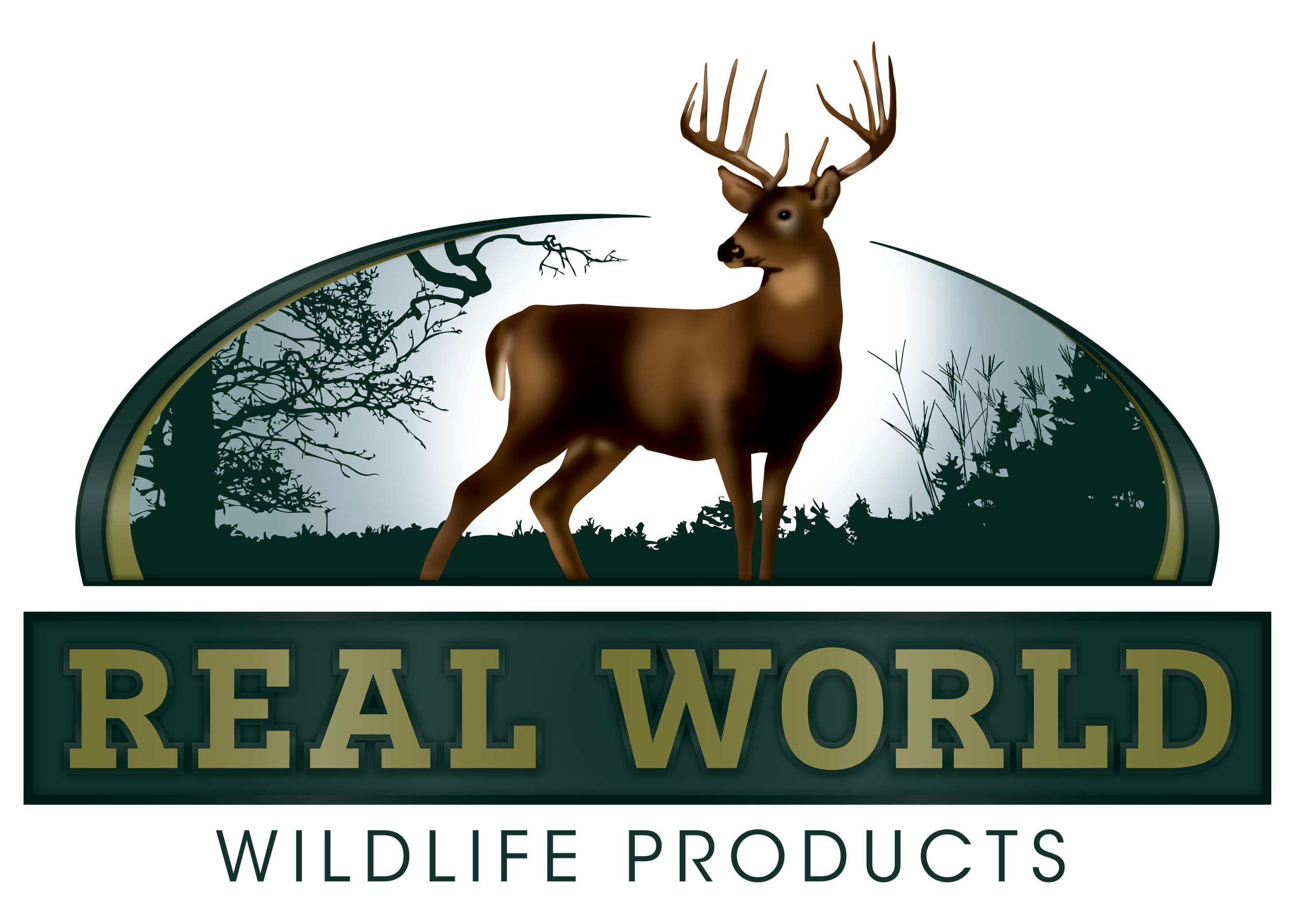 RWW_full-color_Logo.png