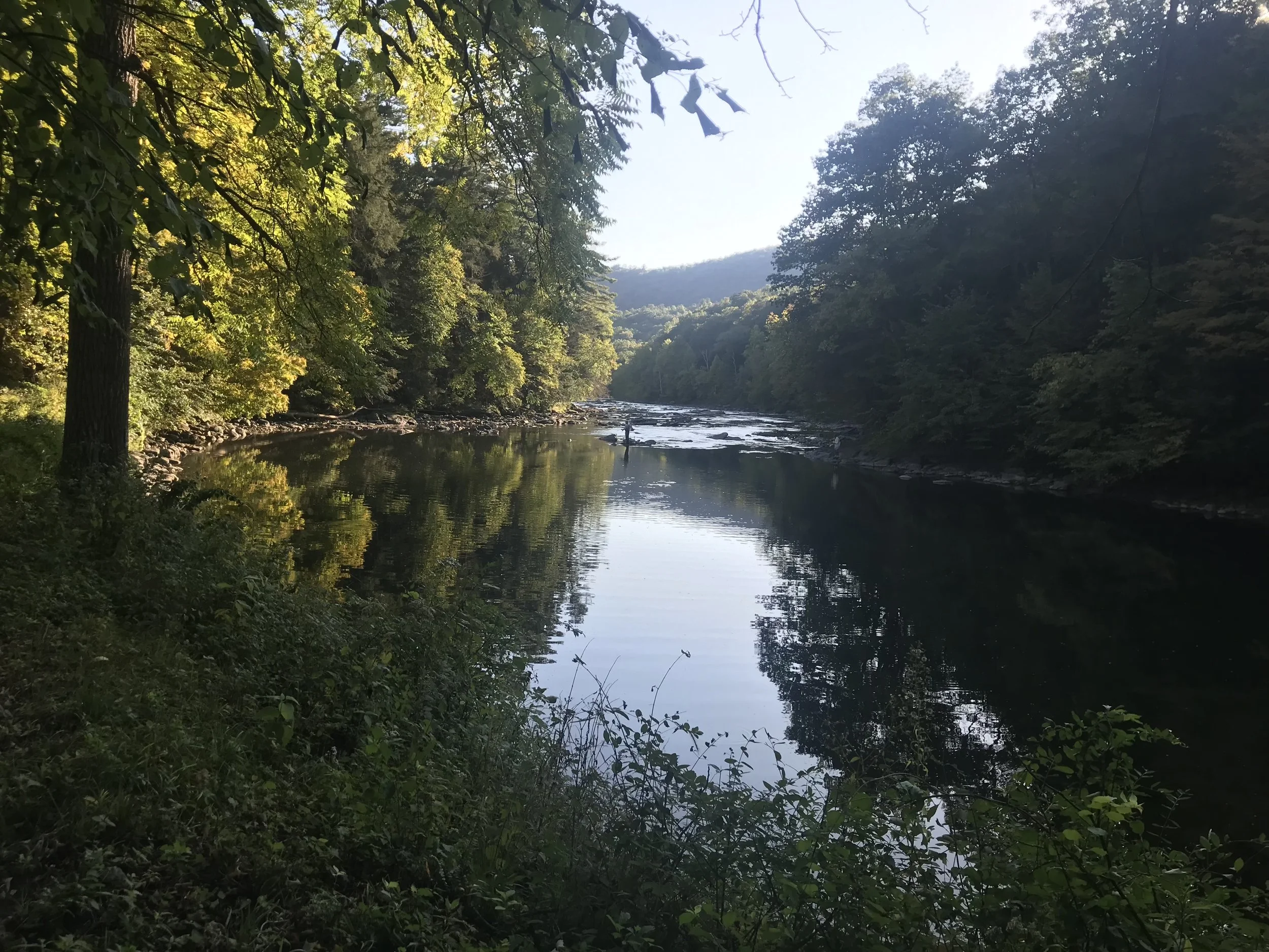 IMG_0990.jpeg