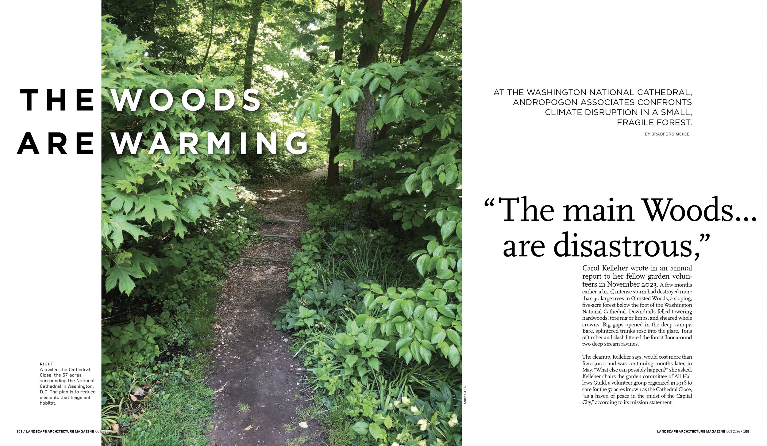 The Woods Are Warming