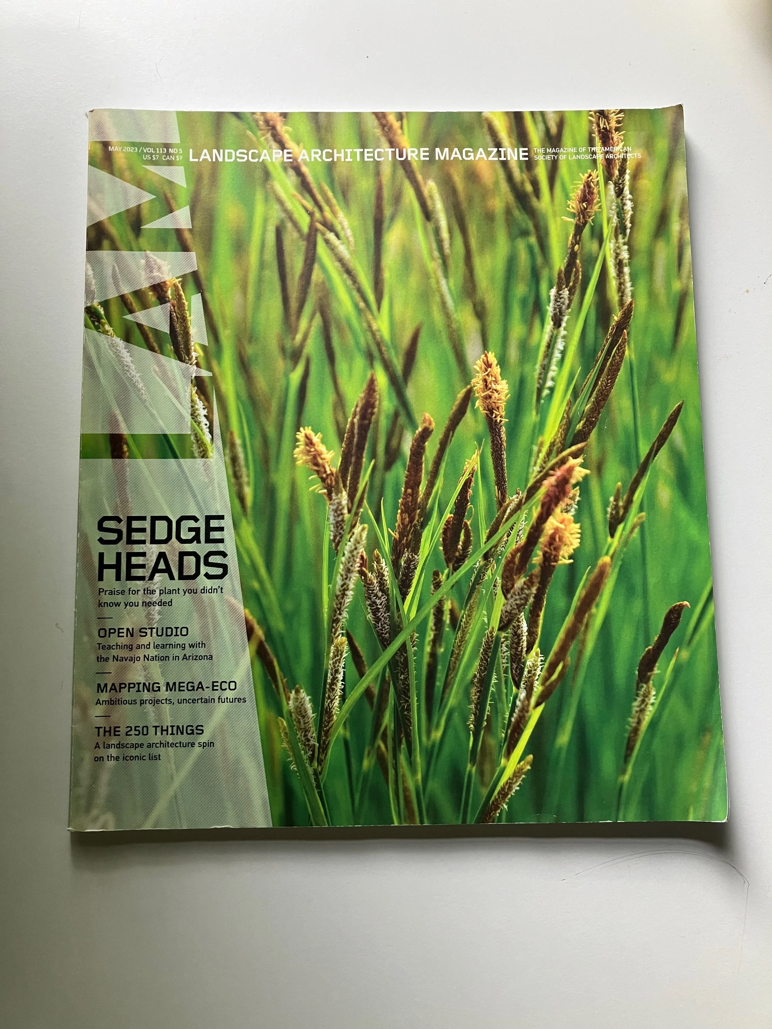 The Sedge Insurgency