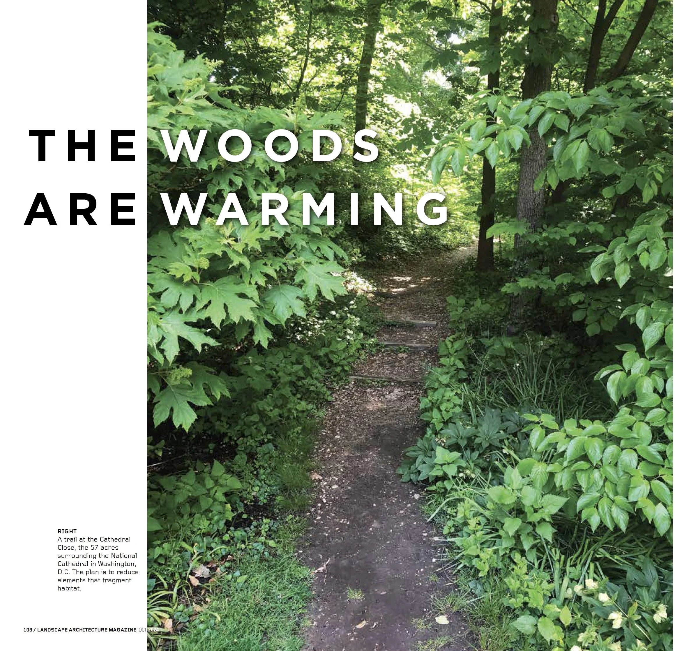 The Woods Are Warming