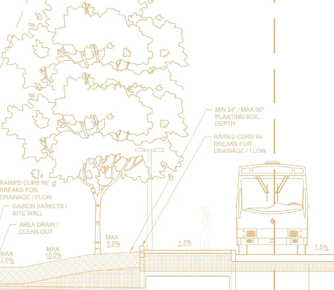 Transit Lines Come Alive
