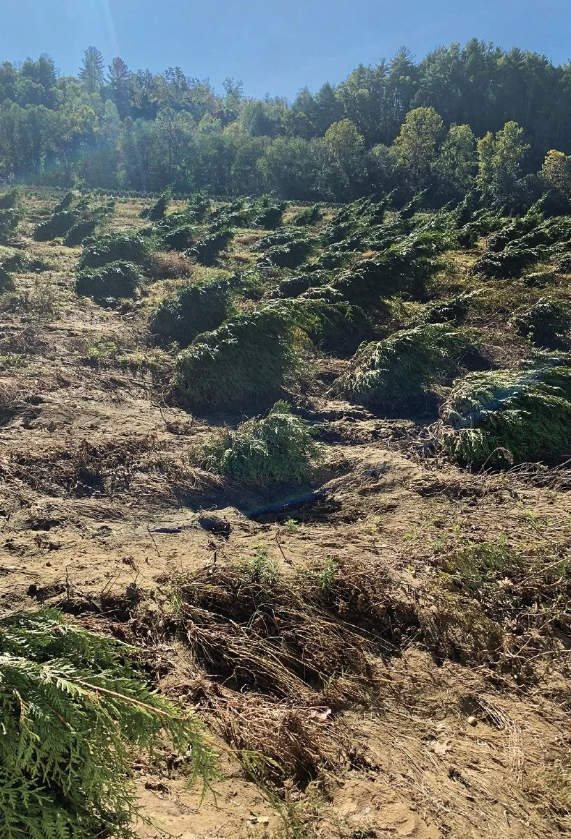 Horticulture and High Water