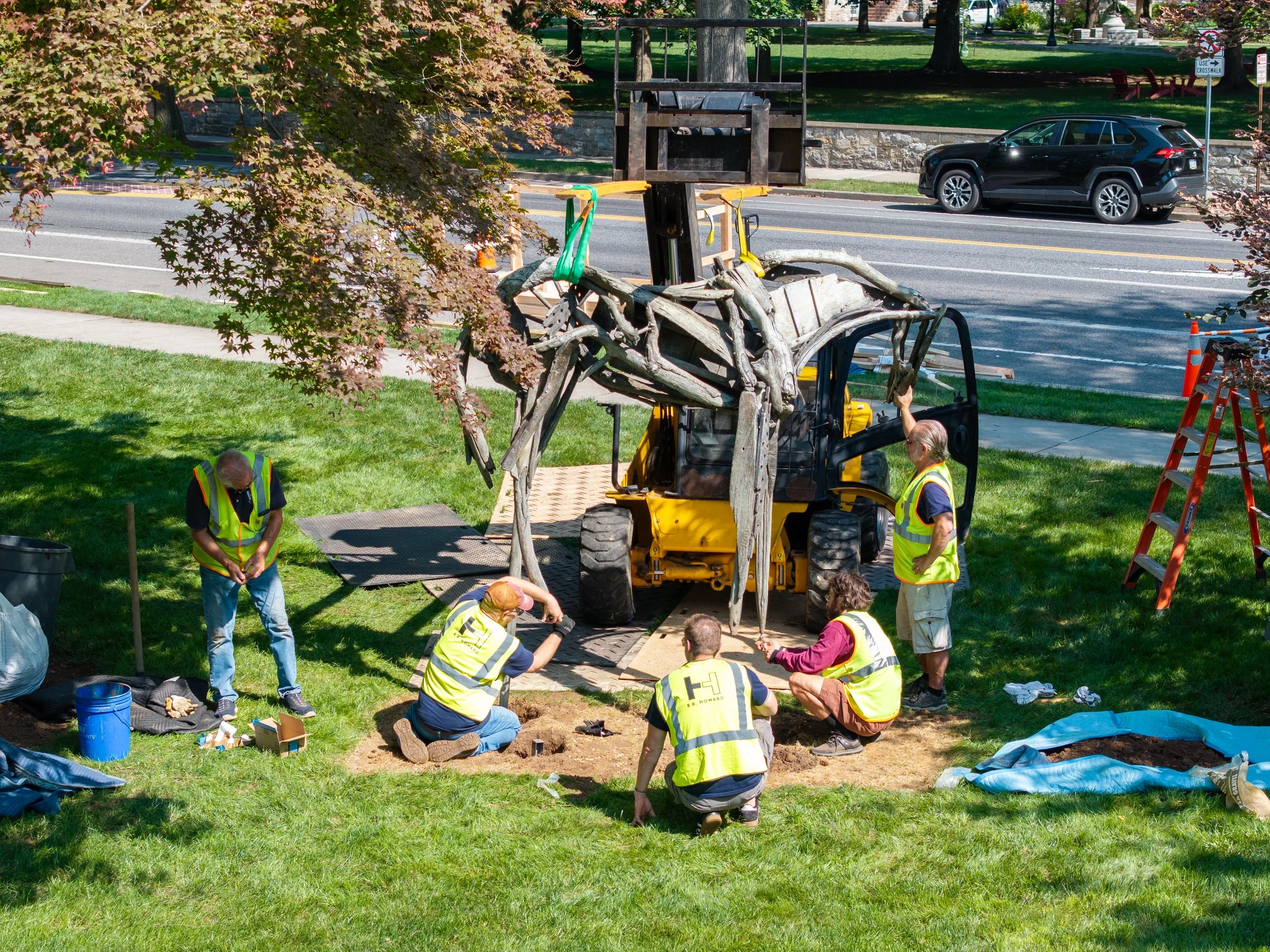Construction workers planting a tree in a park, with a forklift, soil, and tools around.