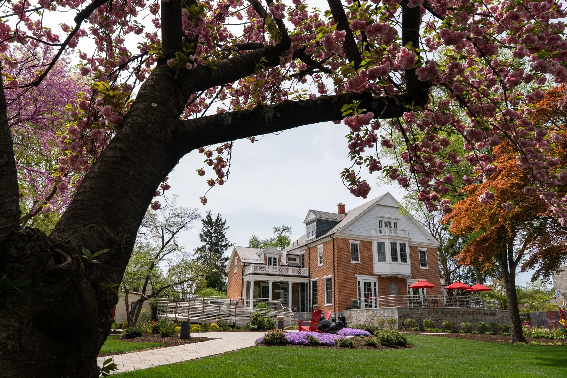 Spring-Campus-Paz-Center_20260416_001_JO.jpg