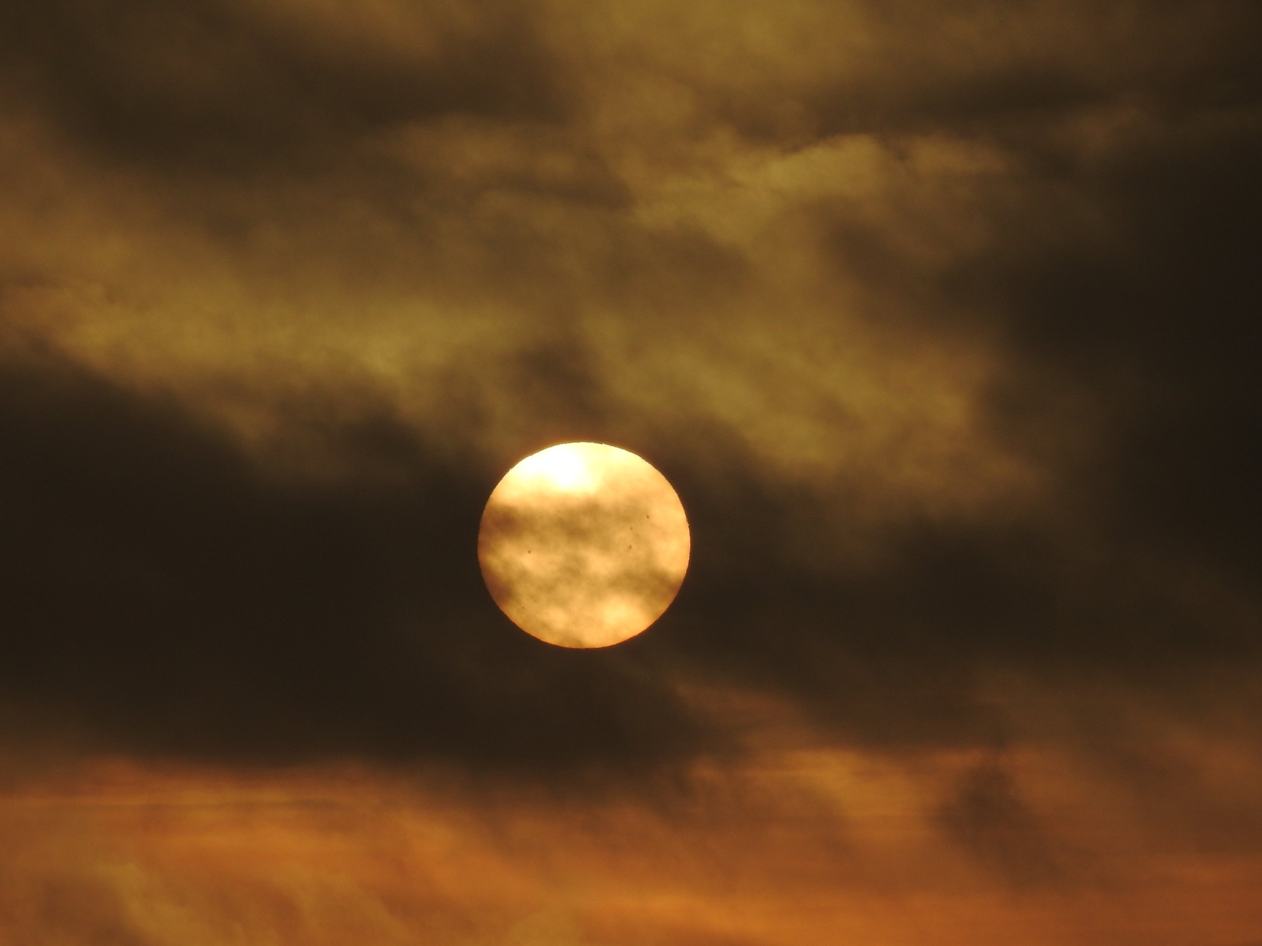 6B19592B-421C-4247-8FD2-73F382BCF95C.jpeg