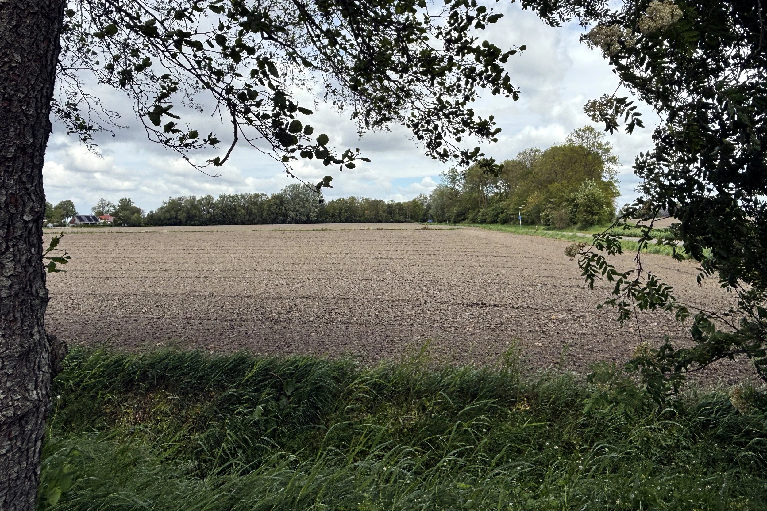 Landschappelijk wonen in Den Andel
