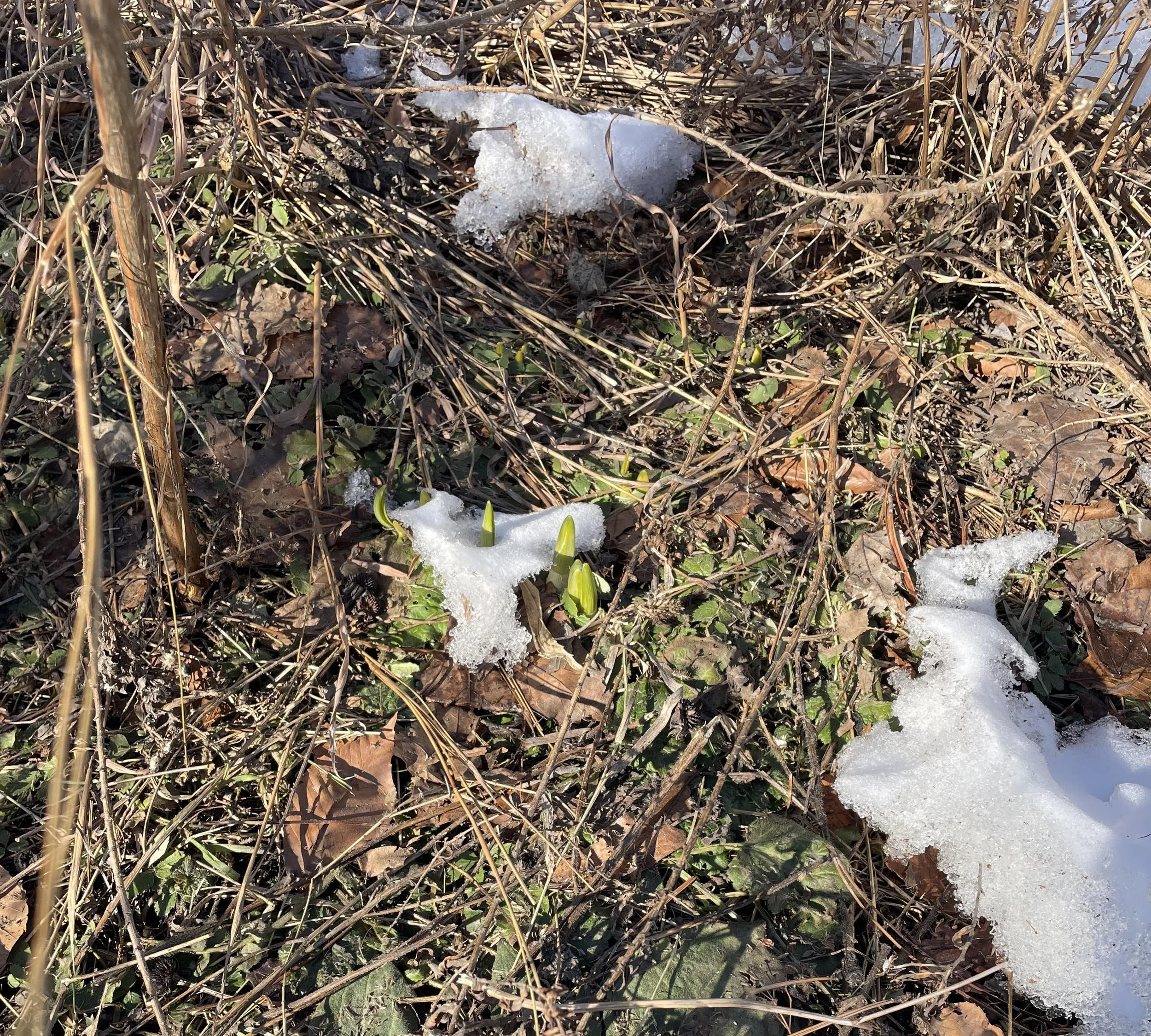 Still time to see the sunset