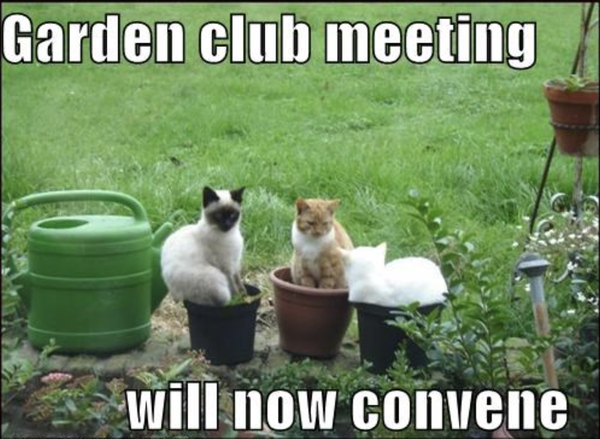 Rencontre d’avril/April Gathering