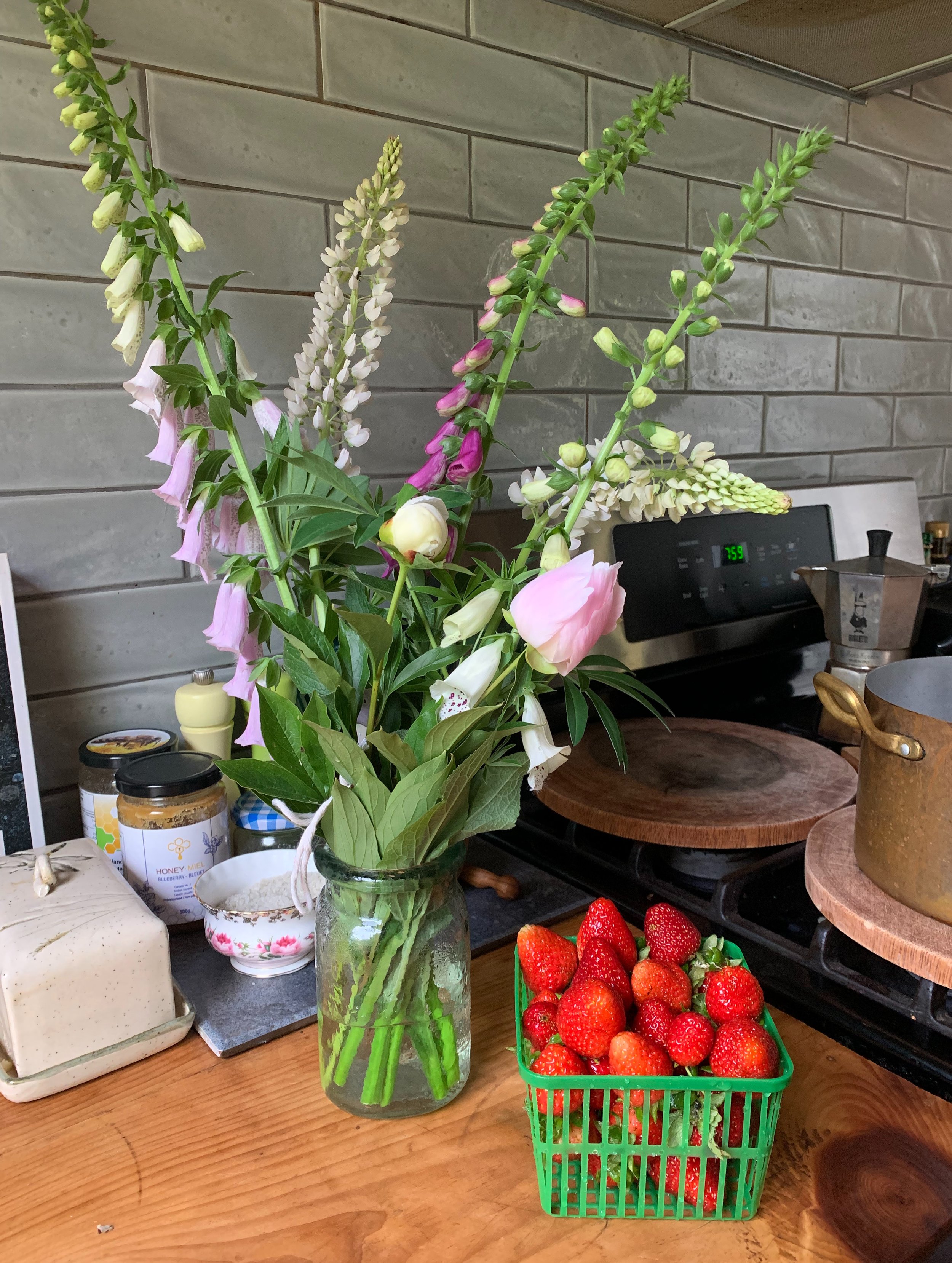 Rassemblement du solstice : se soigner par le jardinage/Solstice Gathering: Healing Through Gardening