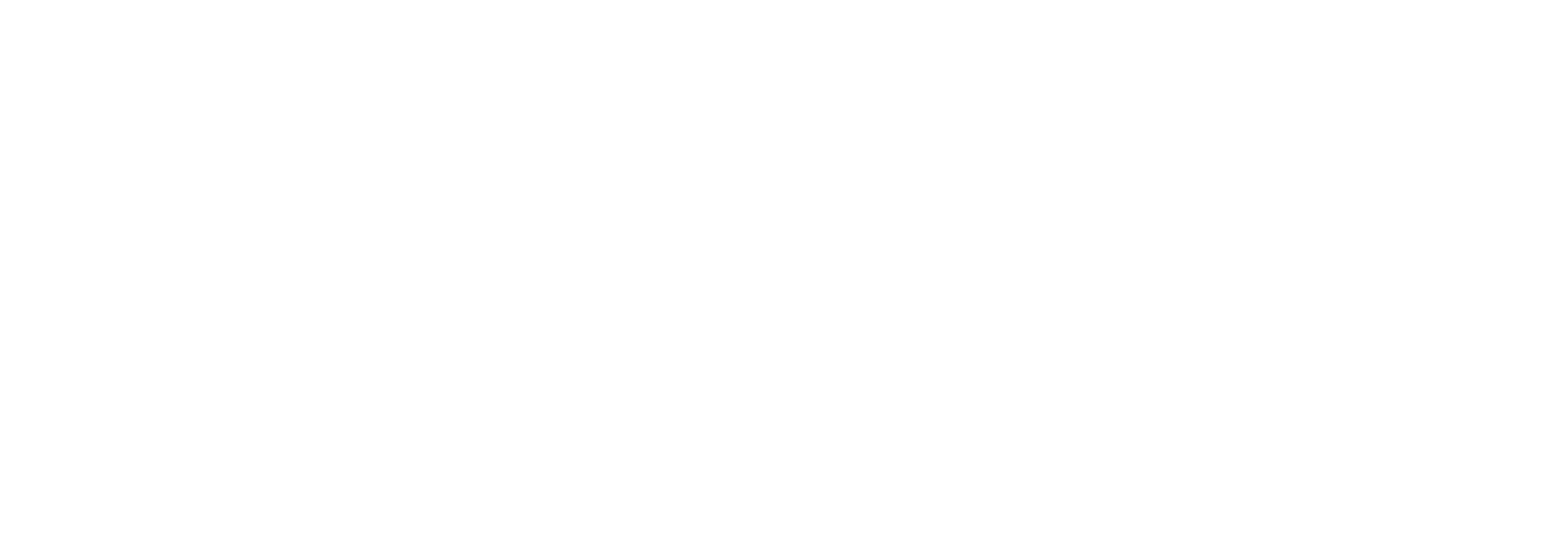 aha insurance