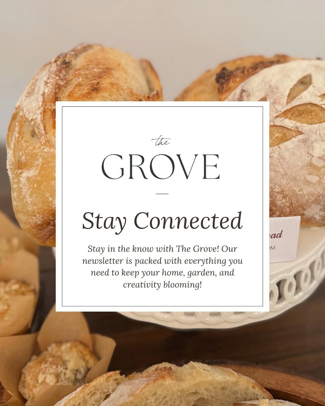 Be the first to know!

Get early access to events, new dishes, and holiday happenings at The Grove.

Sign up for our newsletter today &rarr; link in bio!

#TheGroveDelta #WesternSlope #ColoradoLiving #CassieBees #TheMarketAtTheGrove #BloomNursery #Lo