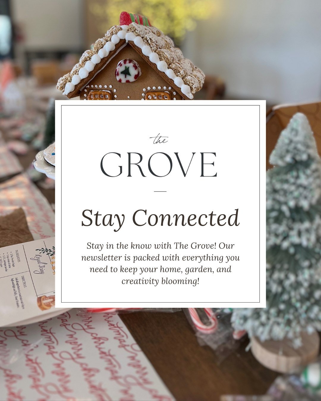 Big things are coming in December!

Sign up to get early access to upcoming events, menus, and exclusive holiday specials.

Sign up: 👉 link in bio!

#TheGroveDelta #WesternSlope #ColoradoLiving #CassieBees #TheMarketAtTheGrove #BloomNursery #LocalLo