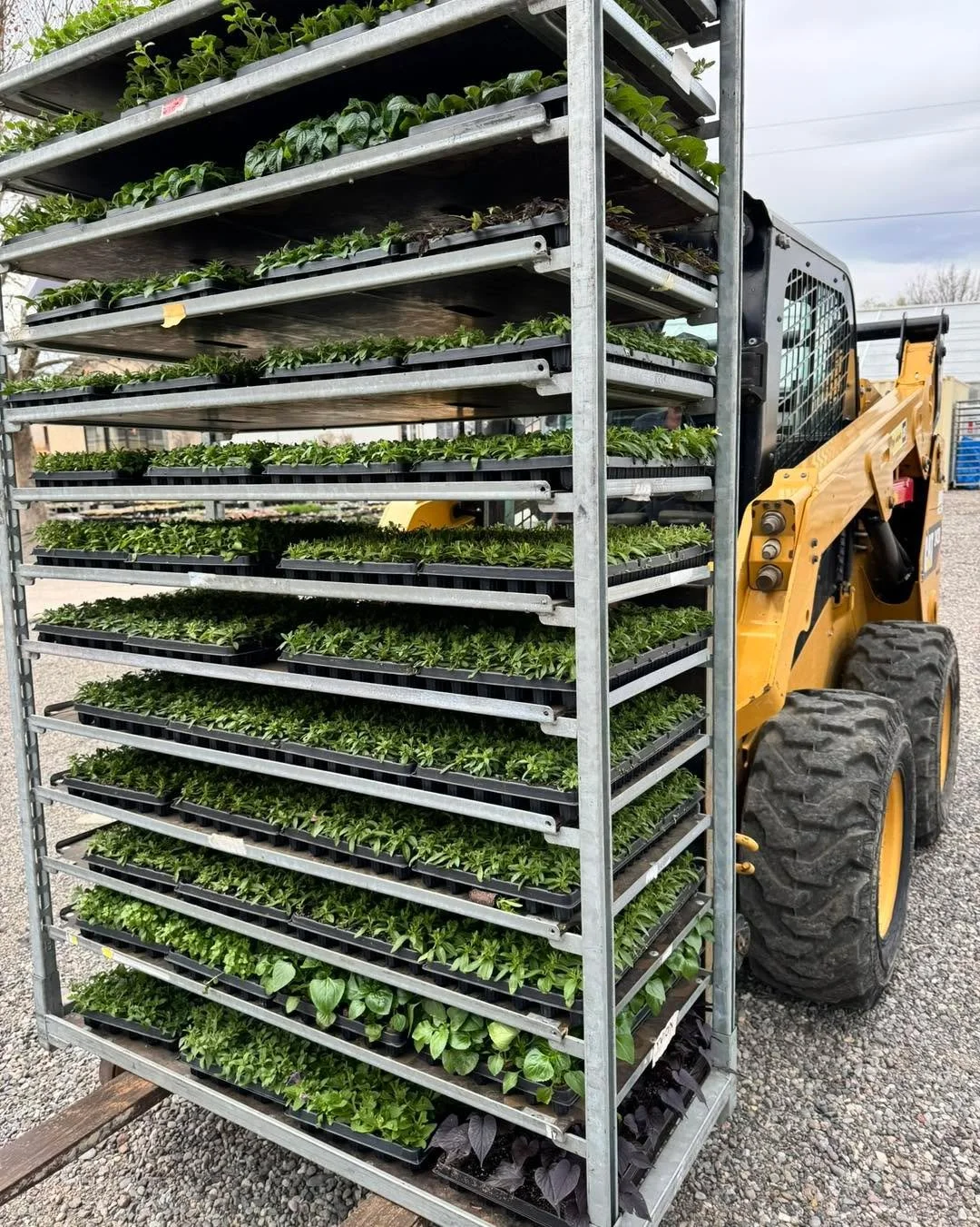 Less than a month until the 2026 greenhouse season begins 🌿
We&rsquo;re counting the days&hellip; and maybe squealing a little. 🙌🌱

 #grovedelta #spring #greenhouseseason #2026 #bloomnursery #deltacolorado #thegrovedelta #plantingseason