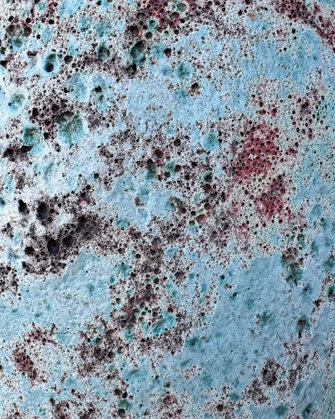 New pottery just in 🌿

Come see the textures up close &mdash; they&rsquo;re even better in person.

  #grovedelta #bloomnursery #springiscoming #details #pottery #thegrovedelta