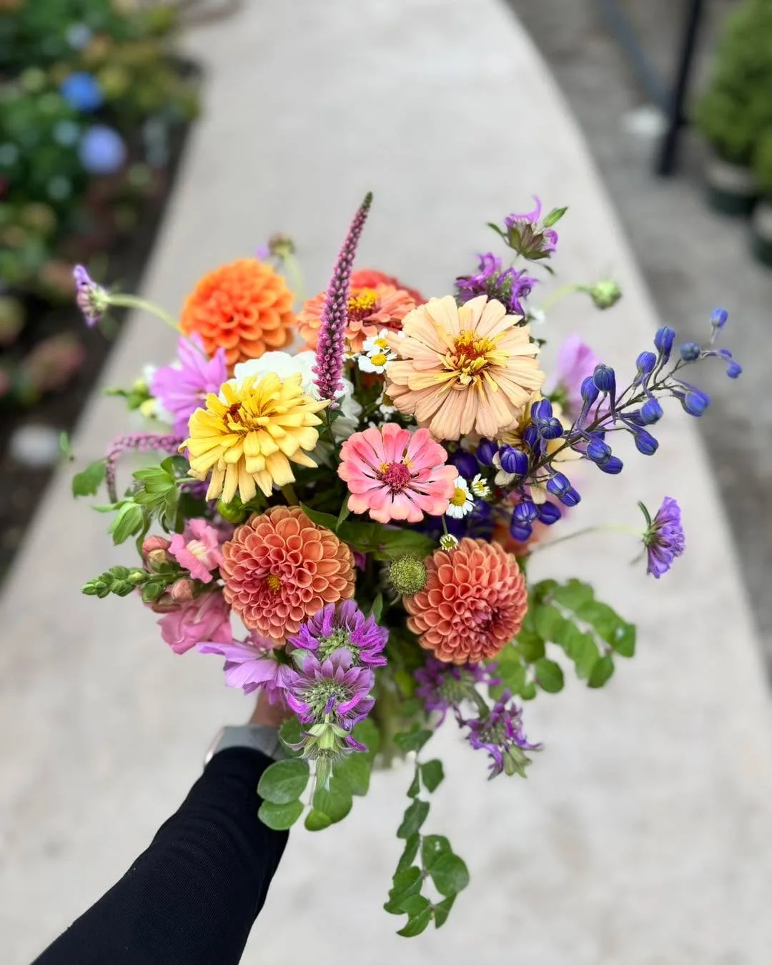 Our weekly flower subscriptions are officially open!

&bull; Seasonal, locally grown blooms
&bull; Fresh arrangements each week
&bull; Limited availability

Treat yourself or surprise someone special with a gift that keeps showing up 💐

Spots are li