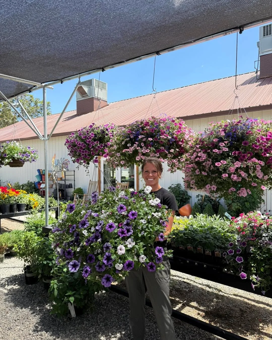 🌸 ALL Annuals on SALE!! 🌸

It&rsquo;s the perfect time to fill your garden, porch, and patio with beautiful color!

Stop by and see us. We still have a BEAUTIFUL selection!

Exclusions: gallon dahlias &amp; select baskets

  #grovedelta #annualflow