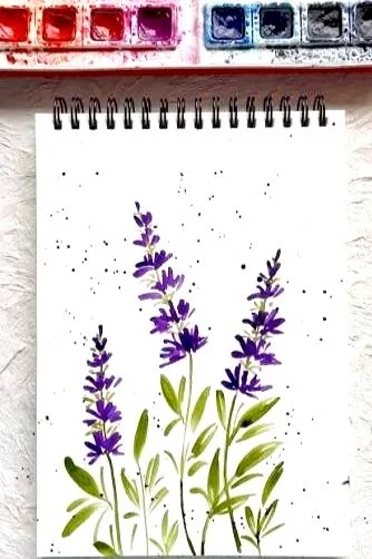 lavendar.jpg