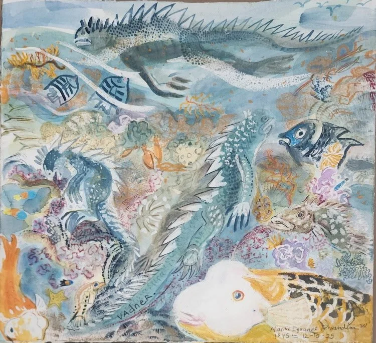 Marine Iguanas, Galapagos, 2025 (private collection) 