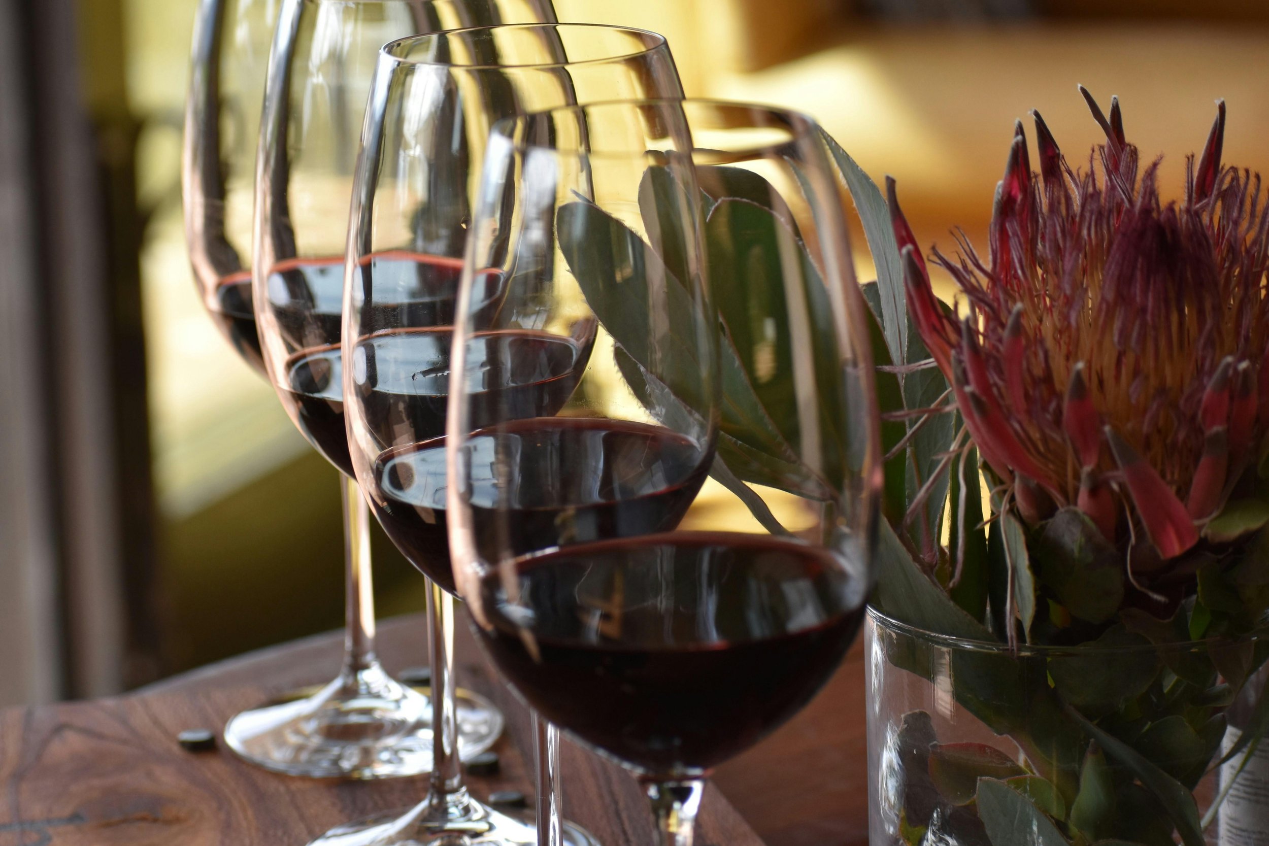 It’s time to explore the lesser knownWine Region of South Africa, the BreedeKloof Valley.