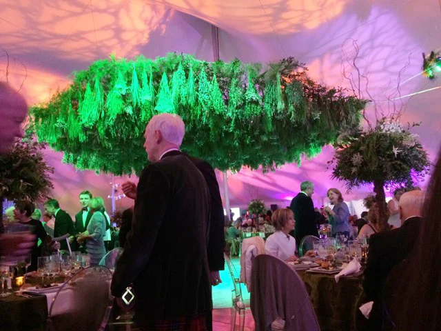 2016-05-21 20.03.00.jpeg