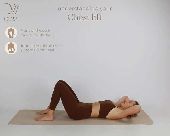 At the core of many exercises such as The Hundred and Single Leg Stretch, your Chest Lift is a fundamental movement to understand &mdash; and therefore the second exercise in our 𝗨𝗻𝗱𝗲𝗿𝘀𝘁𝗮𝗻𝗱𝗶𝗻𝗴 𝗬𝗼𝘂𝗿 𝗘𝘅𝗲𝗿𝗰𝗶𝘀𝗲 series.

It works 