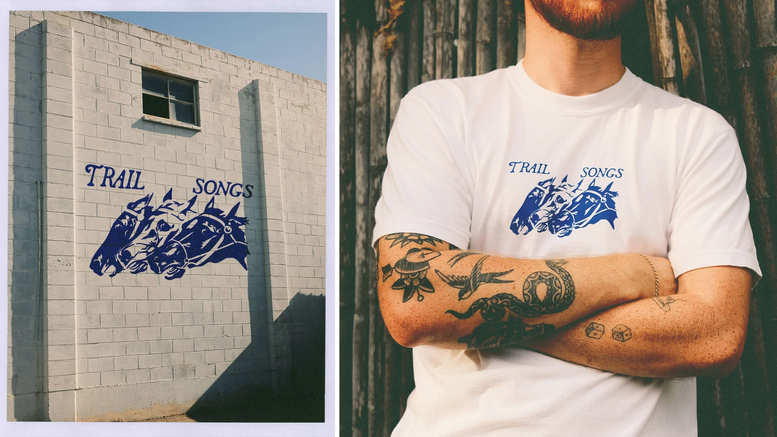 ts-shirt.jpg