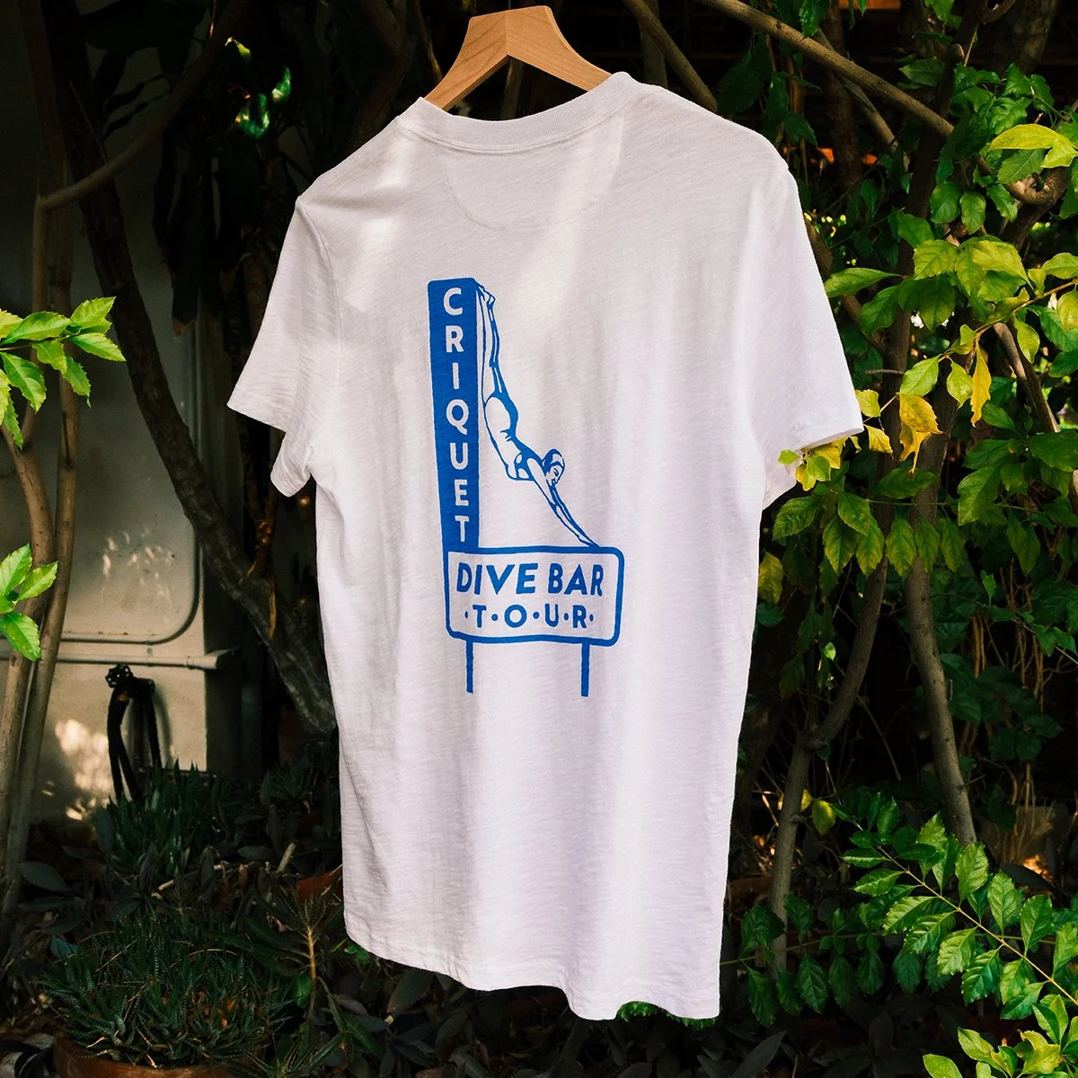 db-tour-tshirt.jpg