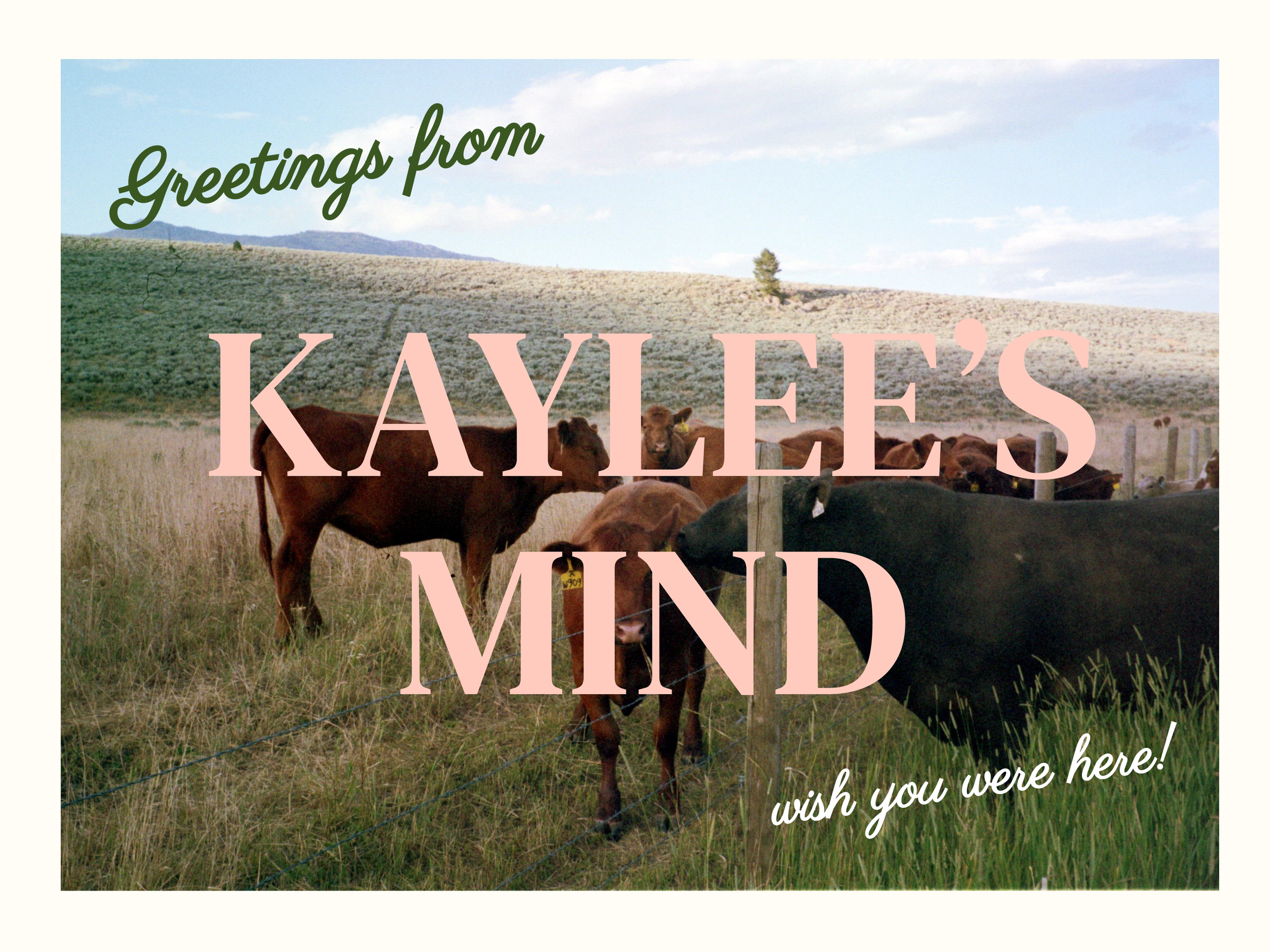 kaylees mind.png
