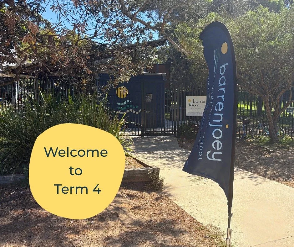 Welcome back to BMS.
We start this term with our Graduate trip to Canberra, and look forward to an open day tour on Saturday 1st November, 2 x Surfrider beach cleans (Sunday 2 Nov, 7 Dec), our 40th Birthday event on Thursday 6 November (2-5pm) and ou