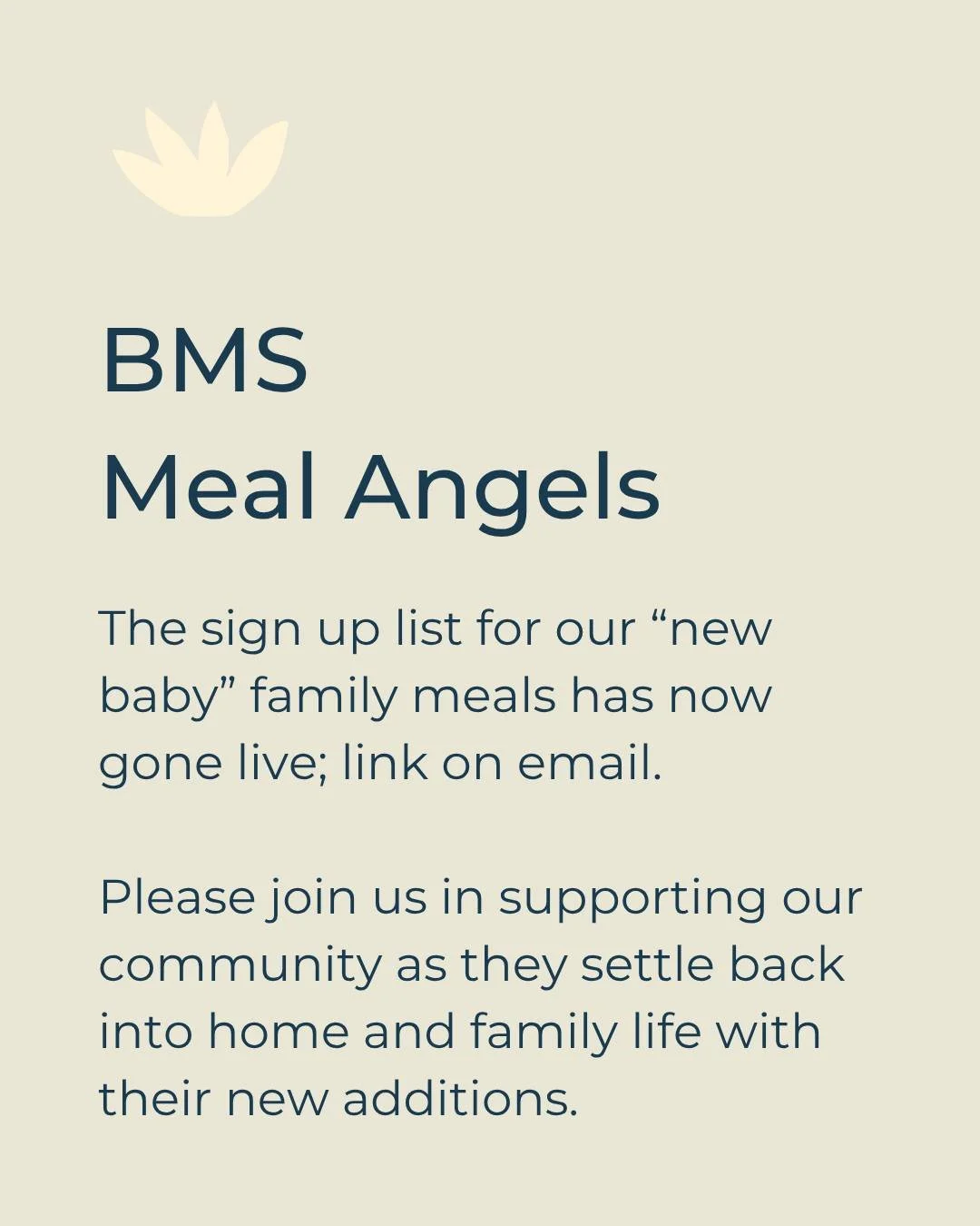 Two of our Birralee (Preschool, 3-6 yrs) families welcomed new additions in the school holidays.  As a community we love to support our families with meals delivered to their door in this transition, allowing them to be nourished and focus more on th