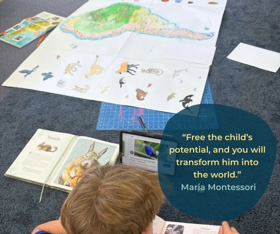 Maria Montessori reminds us that children aren&rsquo;t empty vessels to be filled, but whole beings unfolding from within &mdash; and our job is to protect that unfolding as much as possible, inspiring each individual by working with their interests,