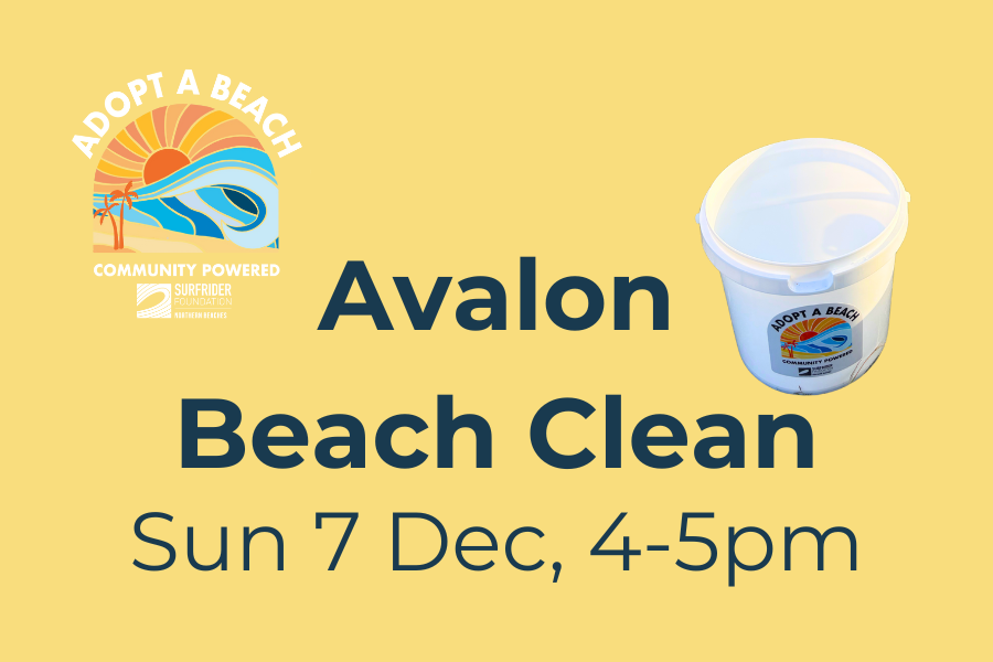 BMS Surfrider Adopt A Beach Partnership