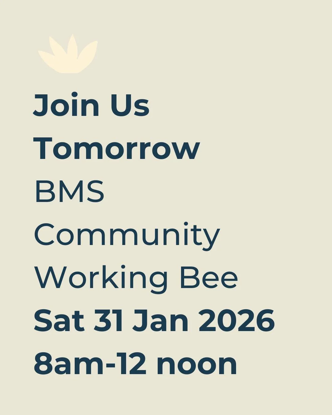 🐝Mark in your diaries and join us for the annual Working Bee.
Join anytime from 8-12 noon
Hours count towards your Term 1 Family Participation Program.
Children must be supervised at all times
Click on the newsletter for a full list of jobs required