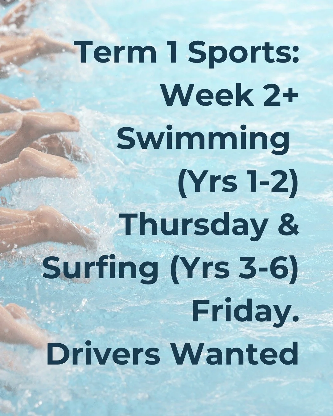 🏊🏻&zwj;♀🏊🏻&zwj;🏄🏻&zwj;♀️🌊We are taking advantage of the Summer and offering water sports as our Term 1 activities:  Swimming and Surfing.
Both activities require parent volunteers to drive the students to and from the venues:  Barrenjoey Swim 